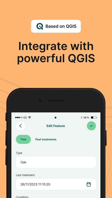 Mergin Maps: QGIS in pocket Screenshot