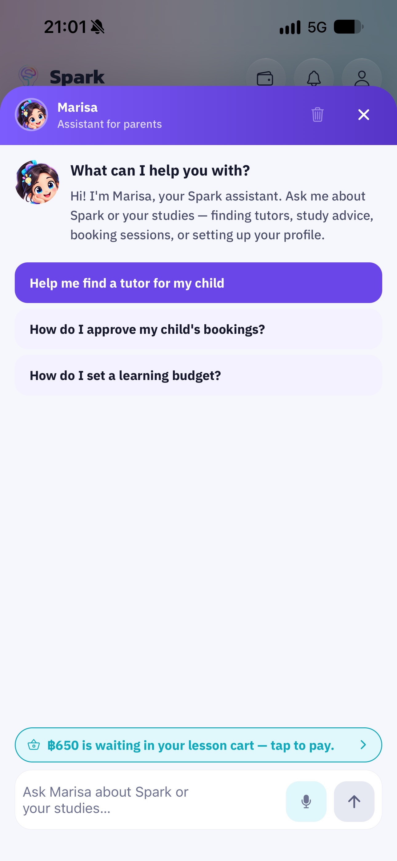 Screenshot 7 of Spark Tutoring
