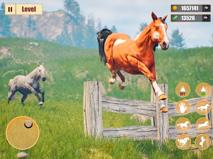 Horse racing riding tales