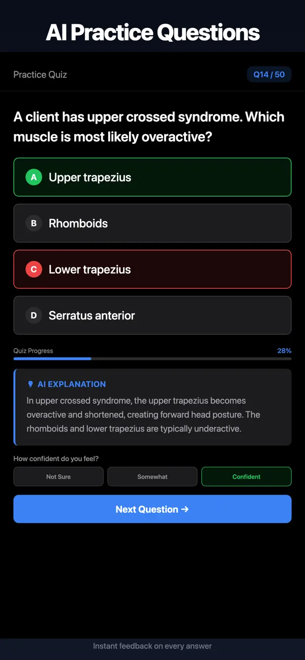 Screenshot #1 pour Trainer Tutor: NASM ACE Prep