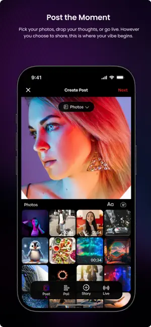 Vybex screenshot 3