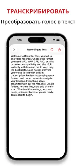 Скриншот диктофон : Voice Recorder App на iPhone 6