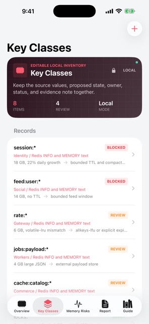 Keygrove: Redis Memory screenshot 3