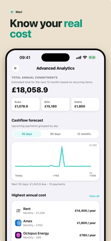 Subscription Tracker: Mori screenshot
