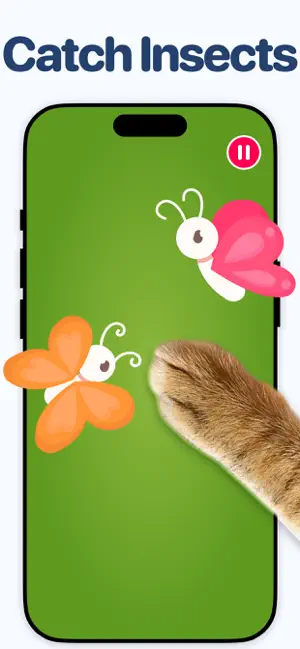 Games for Cats & Kittyㅤㅤ screenshot 4