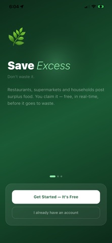 SaveExcess screenshot
