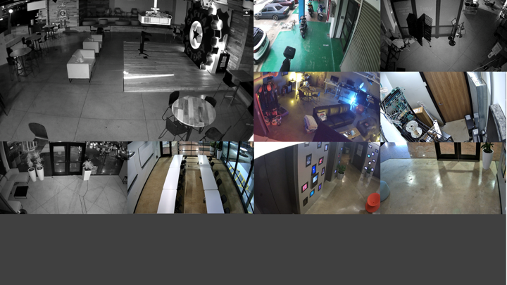 Screenshot #2 pour NX-V Eagle Eye Viewer