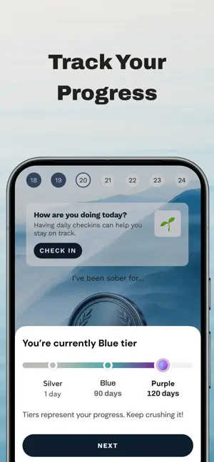 CTRL - Get Sober screenshot 2