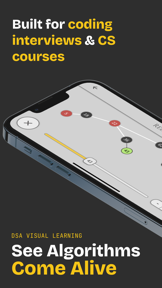 VisiGrab: Algorithms & DSA screenshot