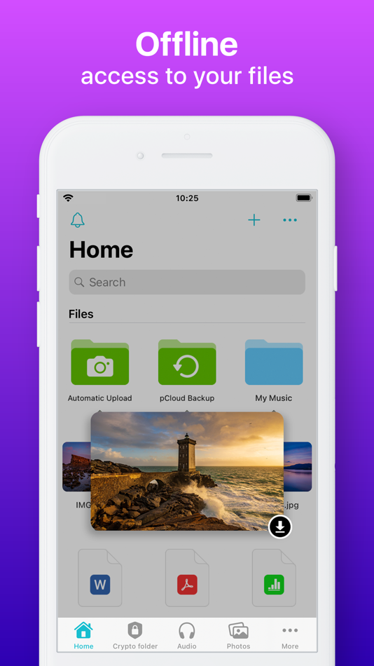 #6. pCloud - Cloud Storage (iOS) 由: PCLOUD LTD