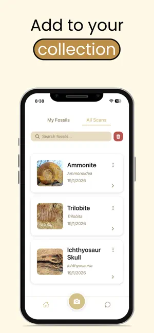 Fossil Identifier: AI Picture screenshot 4