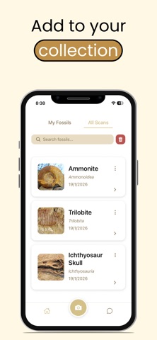 Fossil Identifier: AI Picture Screenshot 4 of 4
