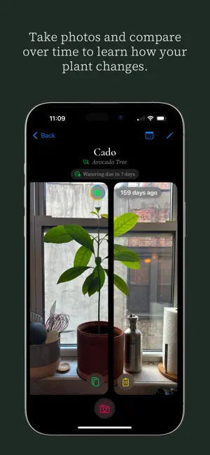 Ginkgo: Plant Care Tracker screenshot 4