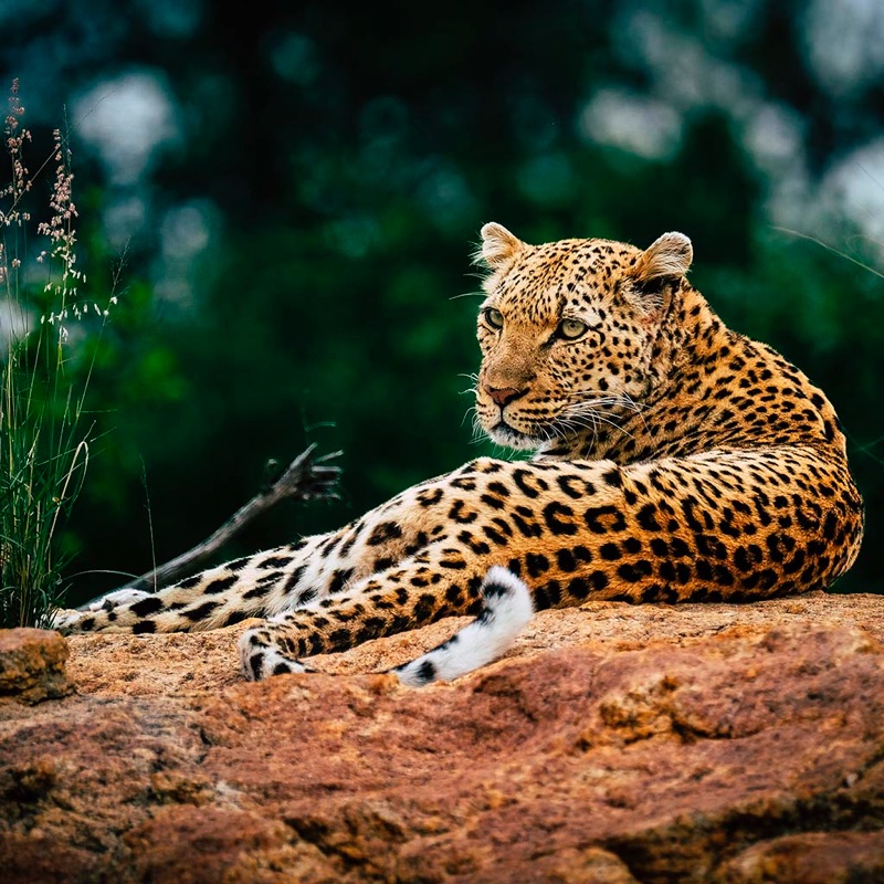 Magic Jigsaw Puzzles－Games HD screenshot 10