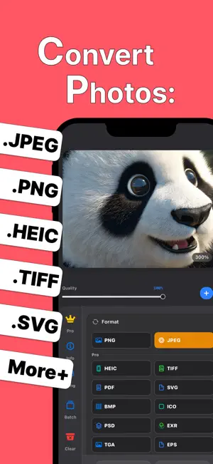 Pixzool: Photo Converter screenshot 1