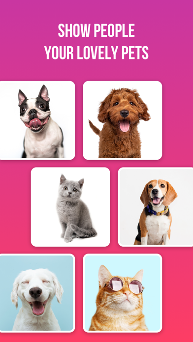 Cool Meet: Dating, Friends App Screenshot