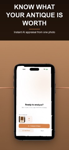 Antique Valuator iPhone screenshot