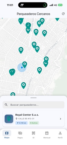 AccessPay - Accesspark screenshot