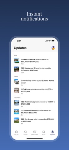 Lillydahl Luxury Properties screenshot
