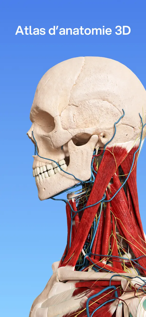 Screenshot #1 pour VOKA: Atlas d'anatomie 3D
