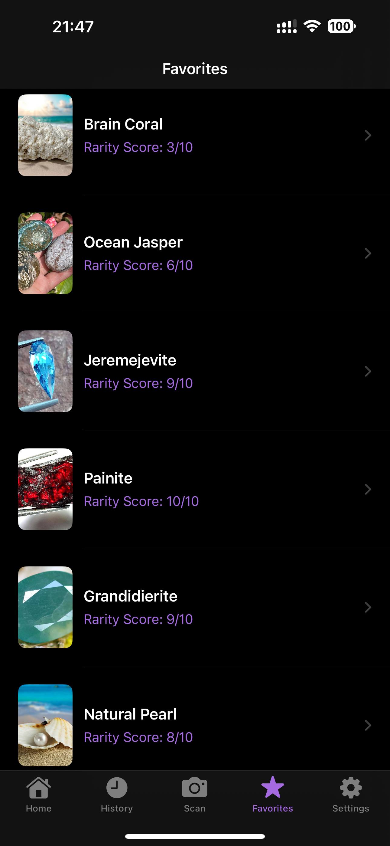Rock Identifier: Stone Scan ID screenshot 8