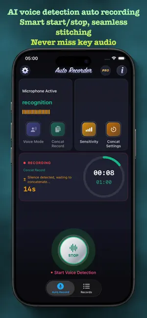 Auto Sound Recorder AI screenshot 1
