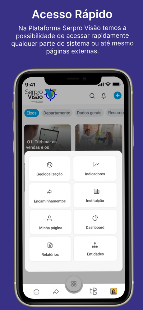 Serpro Visão screenshot 2