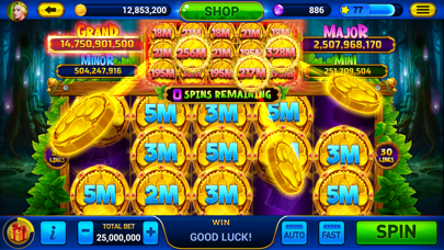 Screenshot #1 pour Golden City Casino