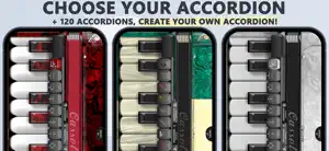 Accordion Piano Cassoto screenshot 3