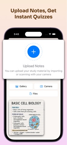 QuizNotes AI screenshot