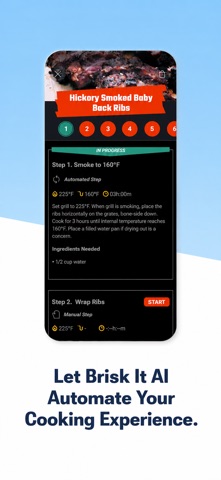 Brisk It Grills Screenshot 4 of 5