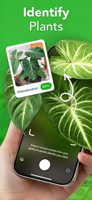Plant Identifier - PlantEcho screenshot 1