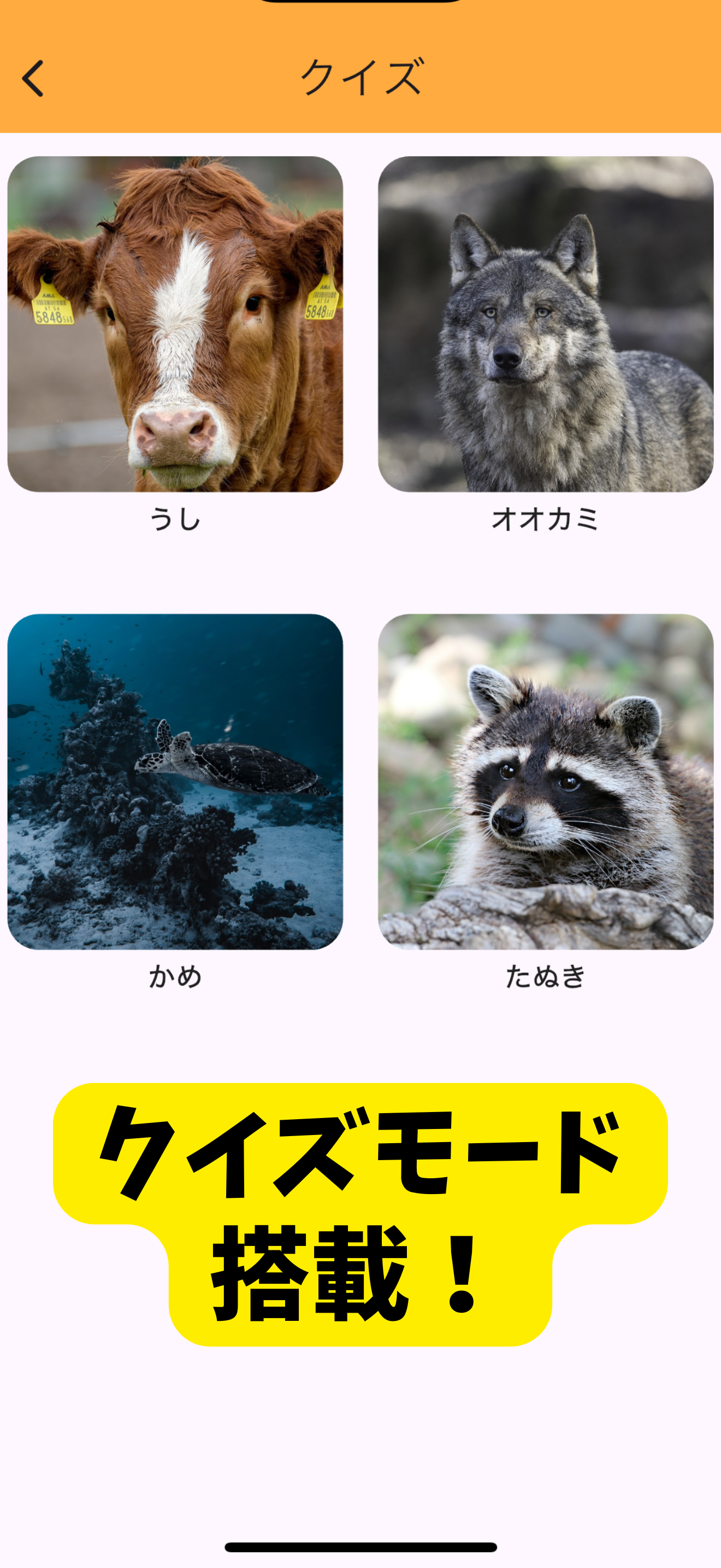 触って遊べる動物図鑑 screenshot 3