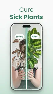 plantify: plant identifier iphone screenshot 4