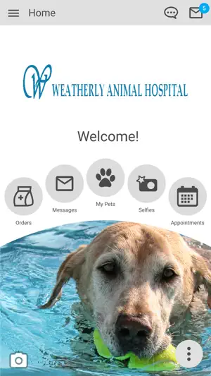 Weatherly Animal Hospital screenshot 1