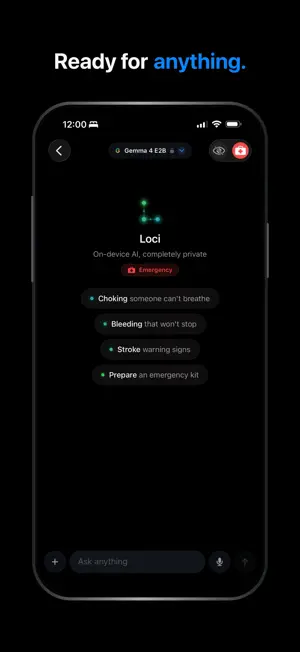 Loci - Private, Local AI screenshot 4