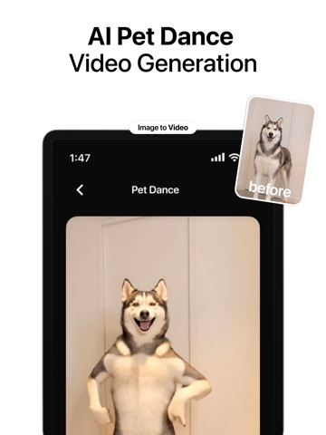 Reelify: AI Video Generation iPad screenshot
