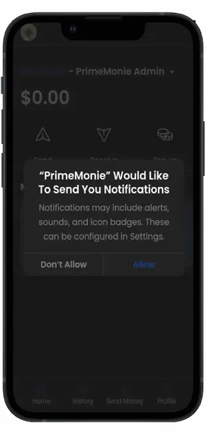PrimeMonie screenshot 1
