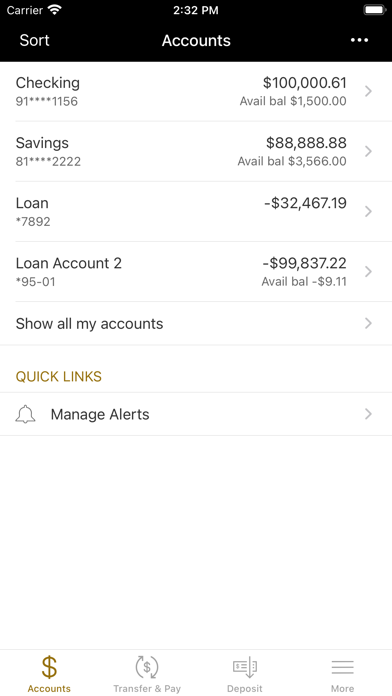 Havana National Bank Mobile Screenshot