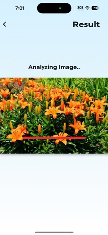 Plant Identifier : PlantWhiz iPhone screenshot