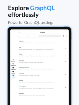 API & HTTP Client screenshot 19