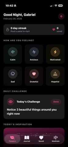 Petal Wisdom screenshot