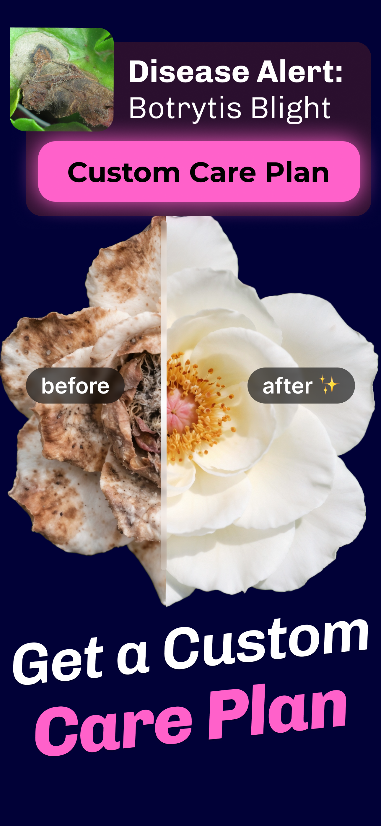 Flower Identifier, Prune Guide screenshot 3