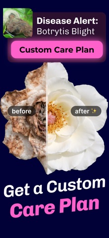 Flower Identifier, Prune Guide iPhone screenshot