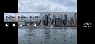 IsPlayer screenshot