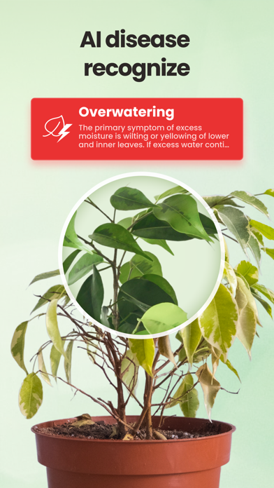 Plant Identifier - PlantSaver Screenshot