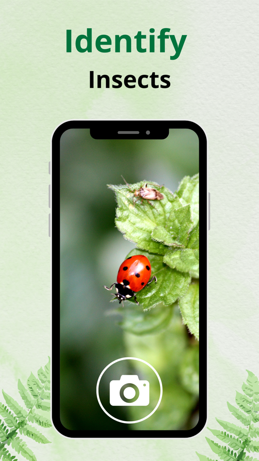 #1. Insect Identifier: Picture AI (iOS) 由: Romain Sion