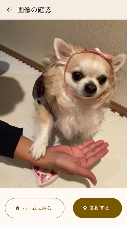 ペットの気持ちAI -犬・猫語で表情を翻訳(ペットのきもち) screenshot-4