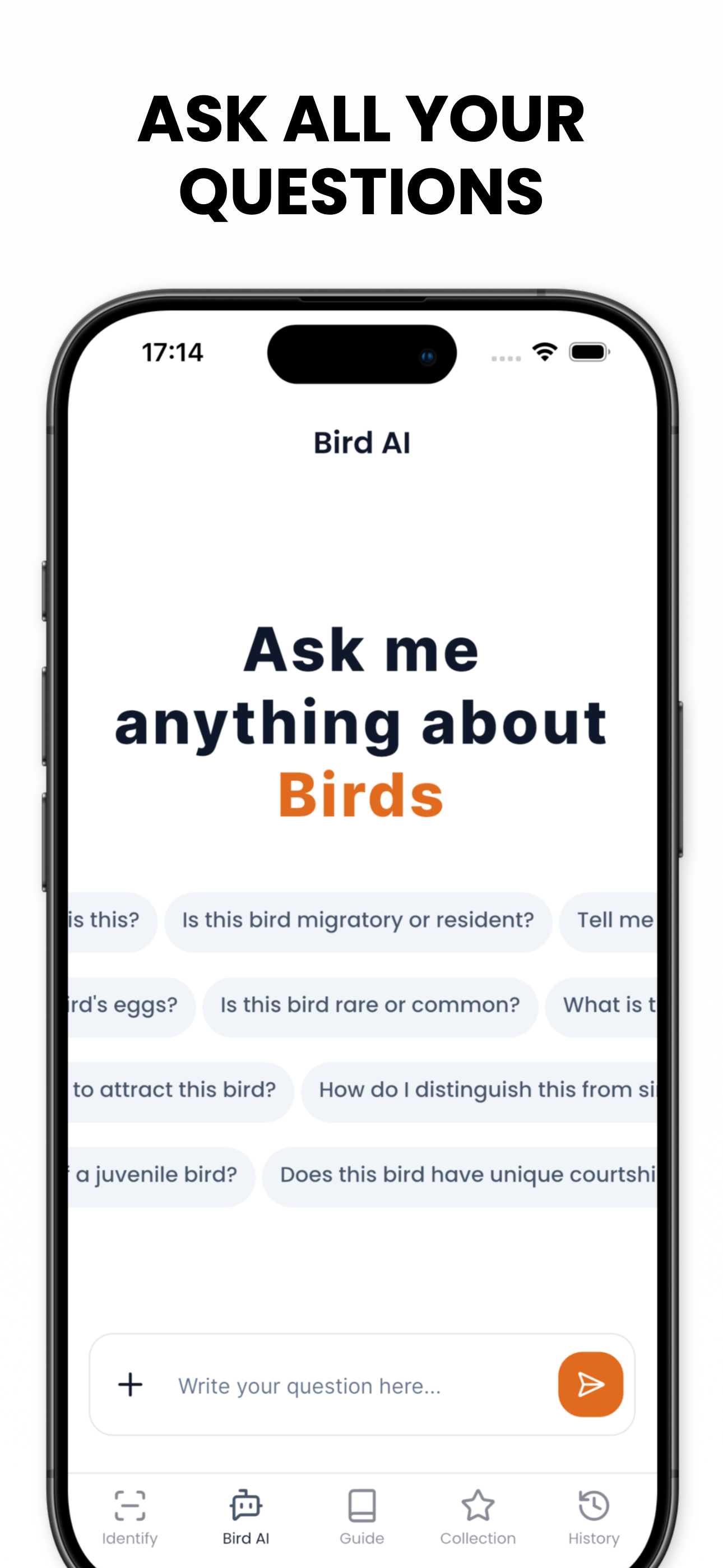 Bird Identifier AI - Birdby
