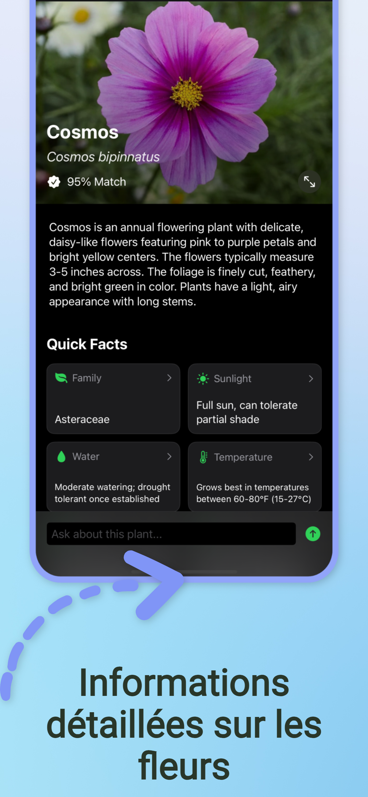 https://is1-ssl.mzstatic.com/image/thumb/PurpleSource211/v4/44/ca/4f/44ca4f48-c2fc-8a34-918c-db2c94076592/iOS_Phones__6.5-02.png/1242x2688.png